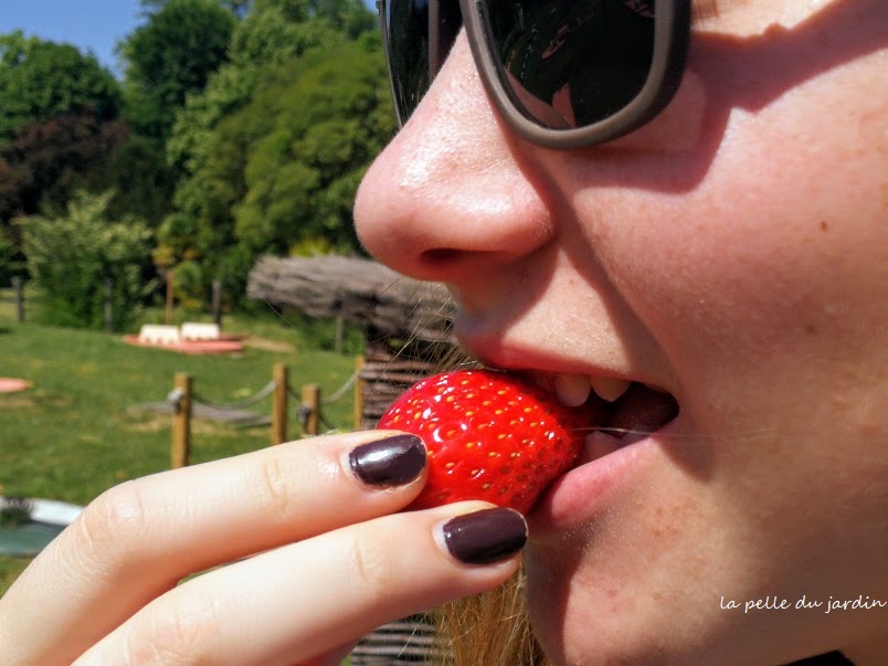 FRAISE GOUT