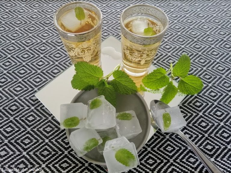 Infusion glacée à la mélisse citronnée - La Pelle du Jardin