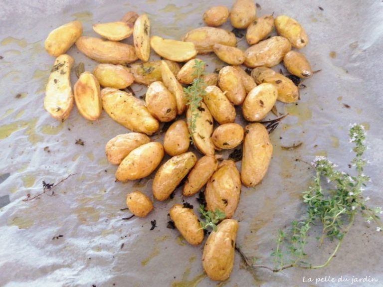 Pommes de terre Rattes cuitent au four - La Pelle du Jardin