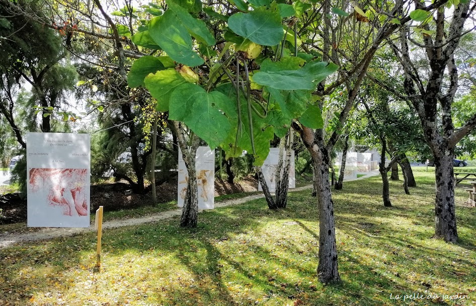 sentier des arts10.jpg