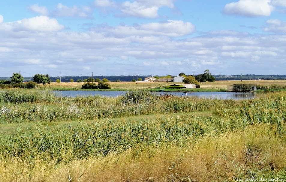 sentier des arts6