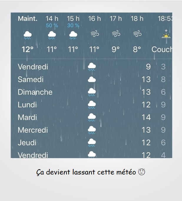 meteo