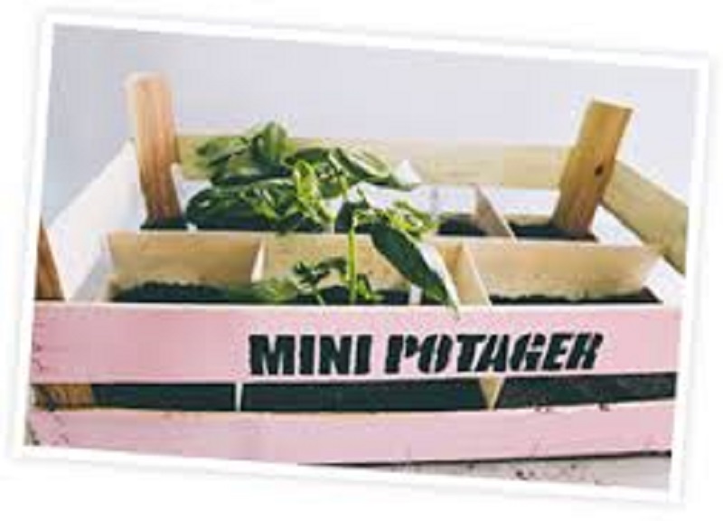 potager