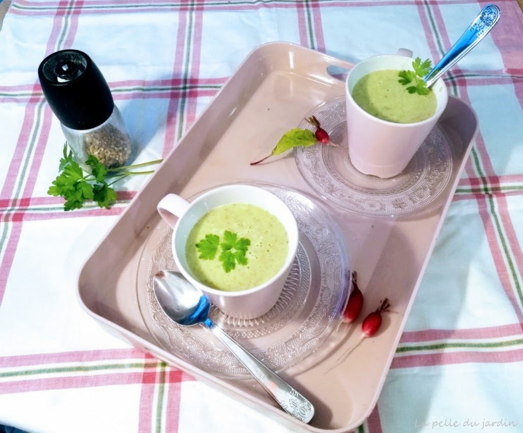 Soupe de fanes de radis - La Pelle du Jardin