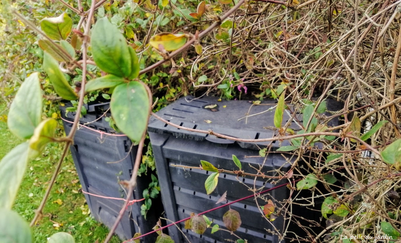 potager bac à compost