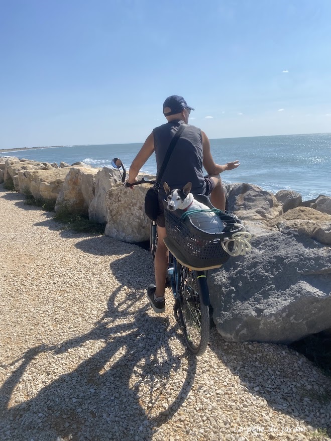 Digue à la mer