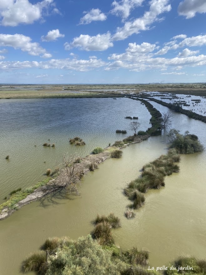 réserve naturelle de Scamandre