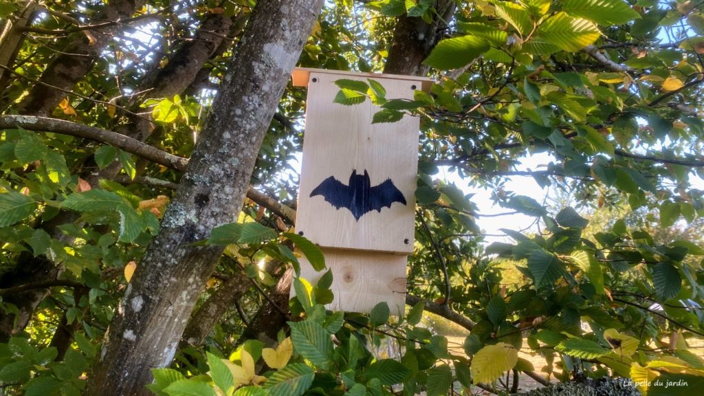 Nichoir Chauve-souris En Bois Naturel - Pour Extérieur - Abri été/hiver - Protection Contre Les Moustiques